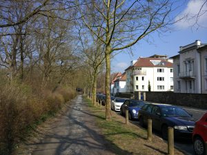 IMG_20160310_114659
