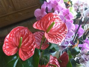 xiaomi-redmi-note-3-pro-camera-sample4