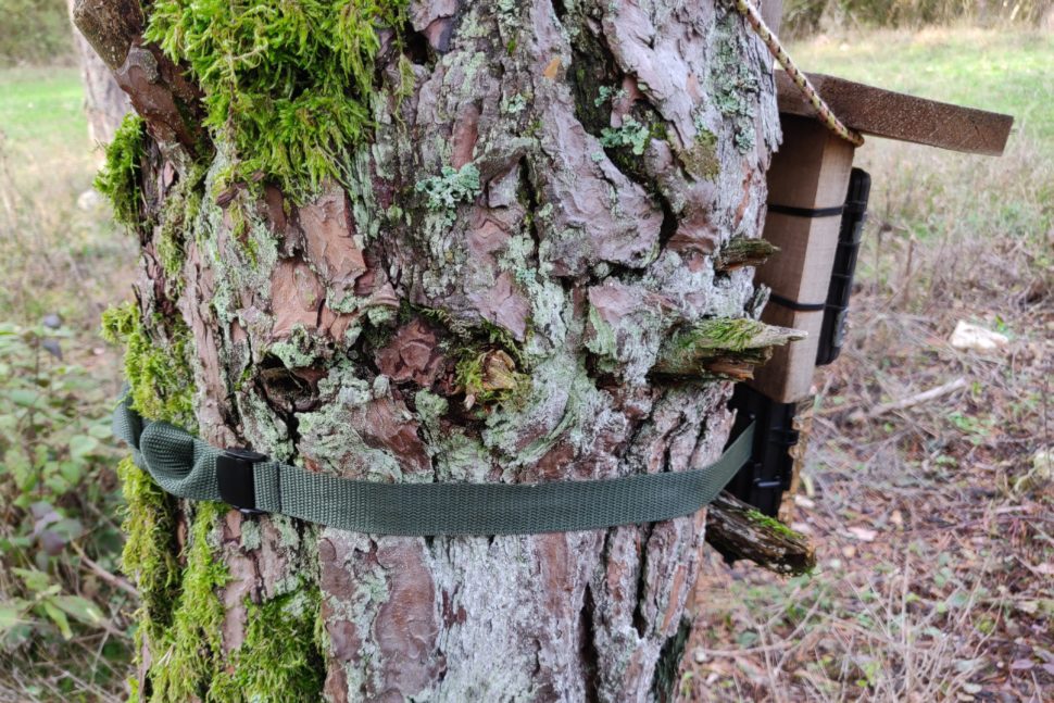 Bagotte DL 1 Wildkamera Test Standort 1