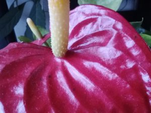 IMG 20201122 141706