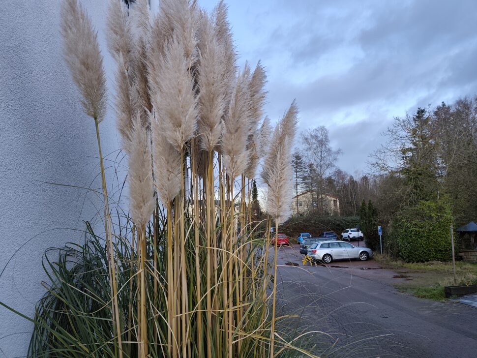 Redmi note 14 pro plus 5g camera main 3