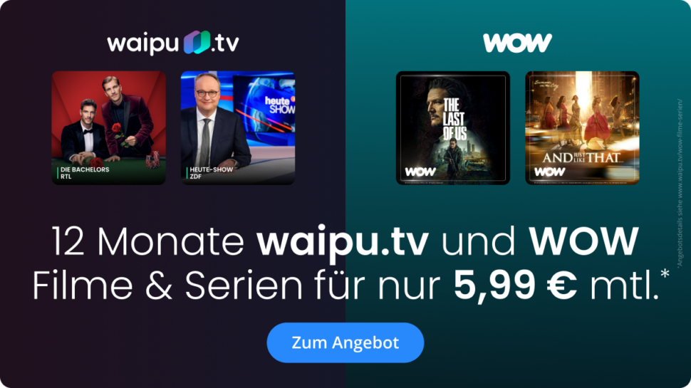 Waipu TV 12 Moante Angebot