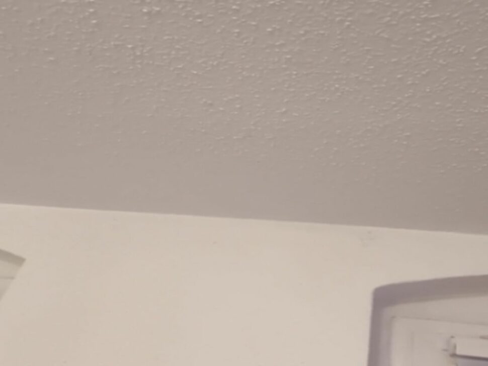 Wärmebrücken in der Decke mit der MiniE erkennen