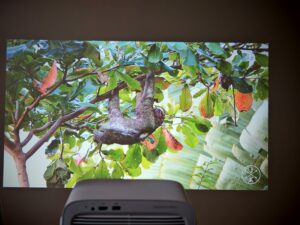 Wanbo Vali 1 50 Zoll Tageslicht 23