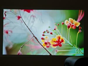 Dangbei Freedo 100 Zoll Dunkelheit 15