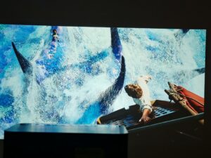 ETOE Whale Pro 65 Zoll Dunkelheit 6