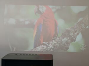 ETOE Whale Pro Tageslicht 60 Zoll 1