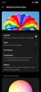 Realme P3 Test Screenshot Display 2