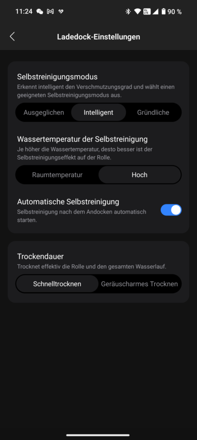 Roborock F25 Ace Test Screenshot Selbstreinigung 2