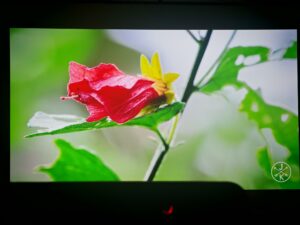 Dangbei DBOX02 Pro Bildqualitaet 34