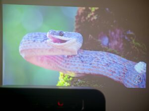 Dangbei DBOX02 Pro Tageslicht Bildqualitaet 10