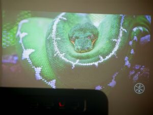 Dangbei DBOX02 Pro Tageslicht Bildqualitaet 15