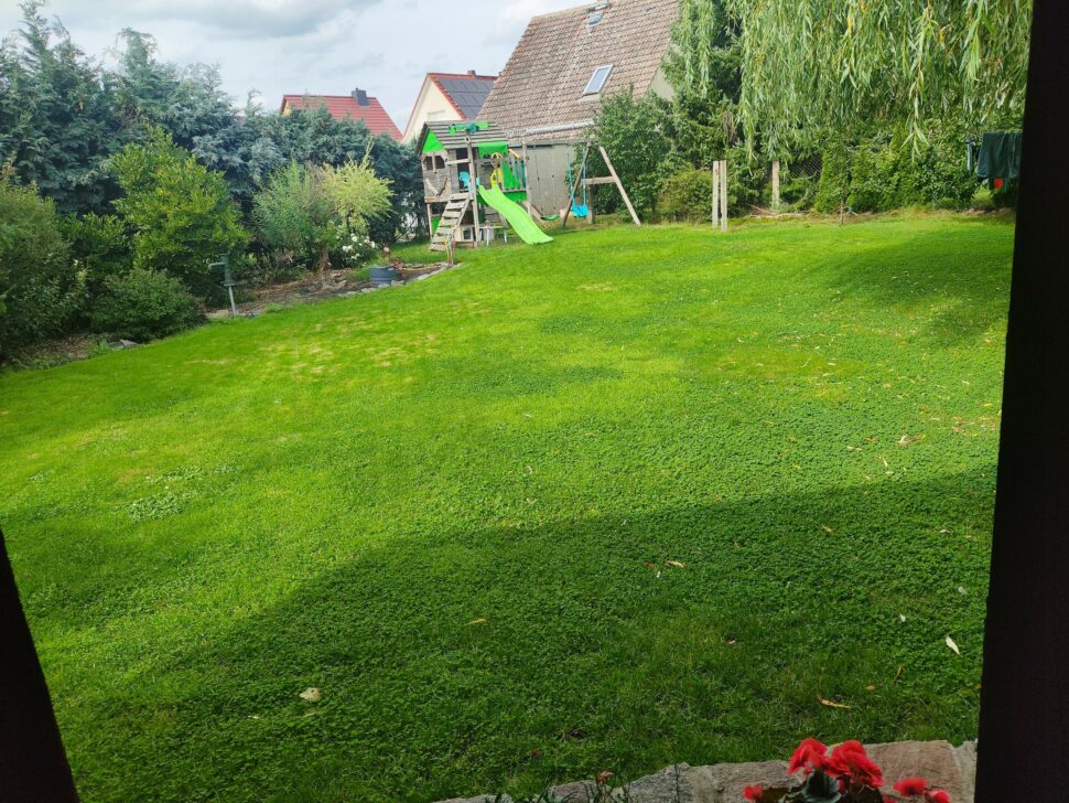 Eufy E15 Rasenflaeche 1