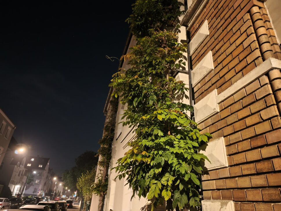 losless xiaomi 15t pro camera main night 7