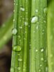 IMG_20250930_1638225662