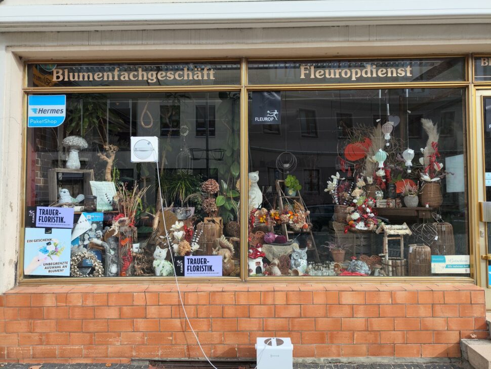 Ecovas Winbot W2S Omni Reinigungsleistung 3 Ecovas Winbot W2S Omni Reinigungsleistung 3