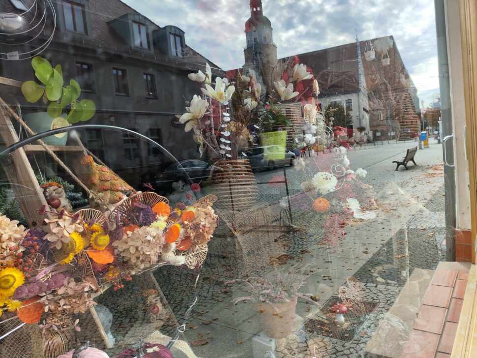 Ecovas Winbot W2S Omni Reinigungsleistung 4 Ecovas Winbot W2S Omni Reinigungsleistung 4