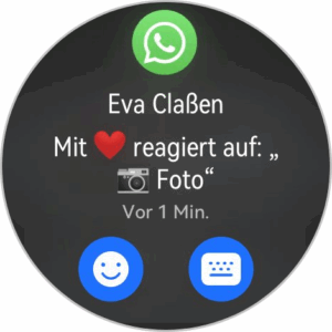 Huawei Watch GT6 Pro Test System 4