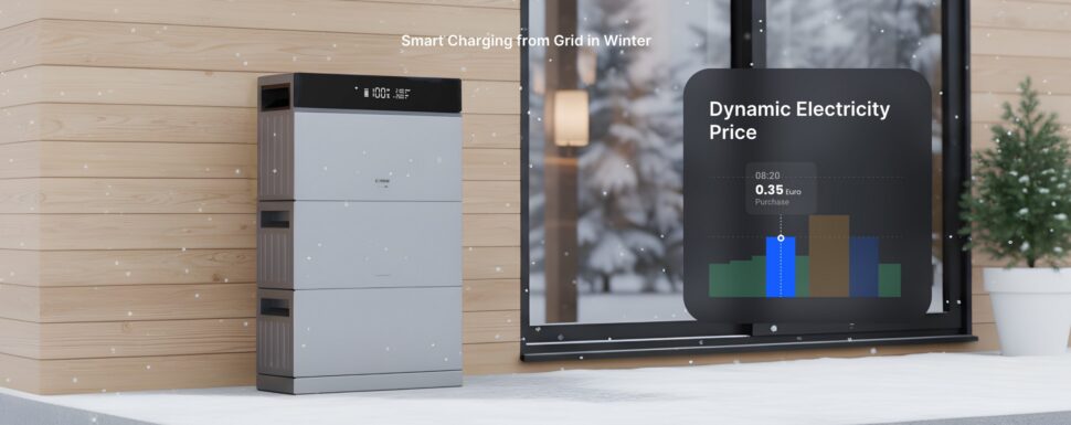 Conow CBE2000 Pro dynamische Stromtarife