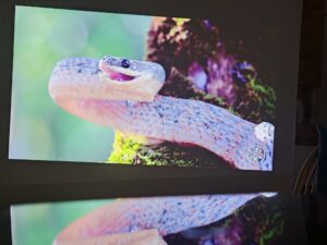 Dangbei DBOX02 100 Zoll Bildqualitaet 19 Dangbei DBOX02 100 Zoll Bildqualitaet 19