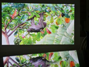 Dangbei DBOX02 100 Zoll Bildqualitaet 22 Dangbei DBOX02 100 Zoll Bildqualitaet 22