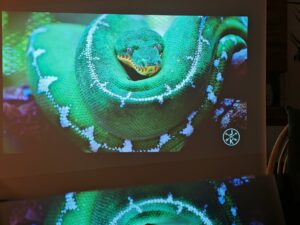 Dangbei DBOX02 100 Zoll Bildqualitaet 24 Dangbei DBOX02 100 Zoll Bildqualitaet 24