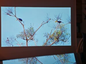 Dangbei DBOX02 100 Zoll Bildqualitaet 28 Dangbei DBOX02 100 Zoll Bildqualitaet 28