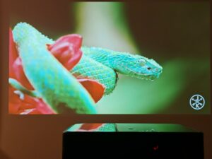 Dangbei DBOX02 75 Zoll 1 Dangbei DBOX02 75 Zoll 1