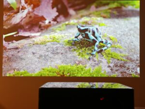 Dangbei DBOX02 75 Zoll 3 Dangbei DBOX02 75 Zoll 3