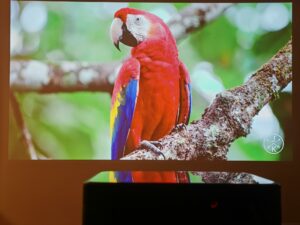 Dangbei DBOX02 75 Zoll 5 Dangbei DBOX02 75 Zoll 5