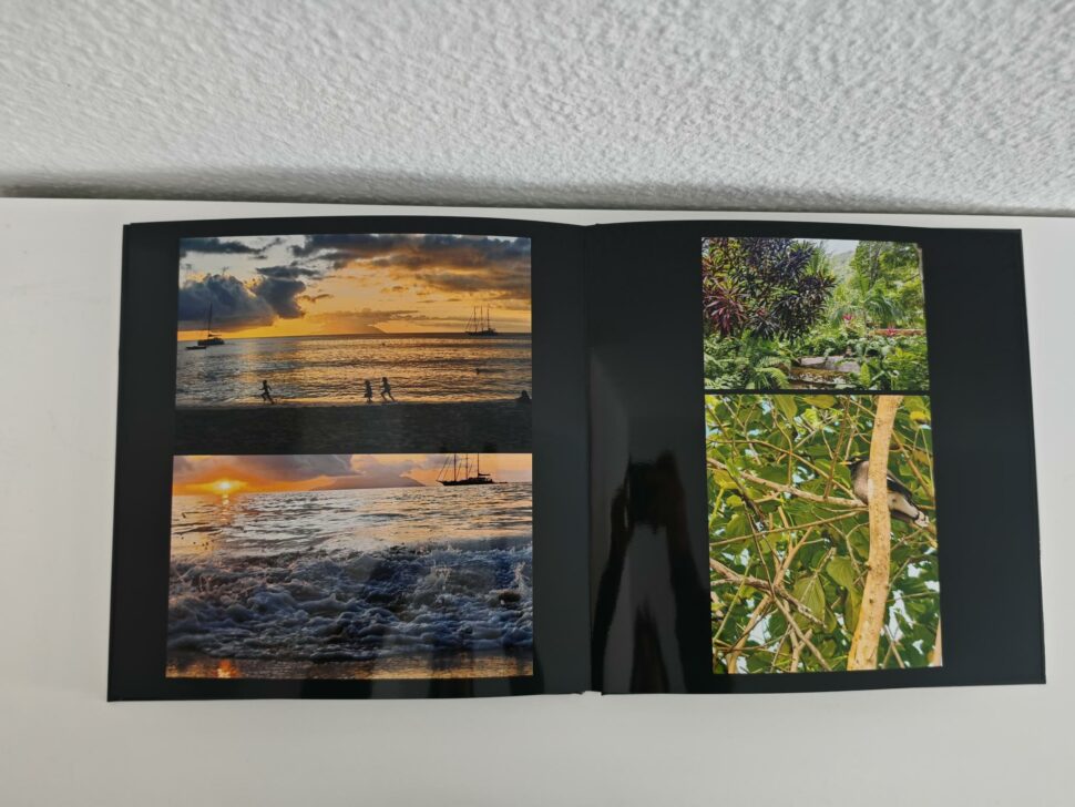 1000138711 1000138711