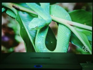 Oscal PV800 65 Zoll 15 Oscal PV800 65 Zoll 15