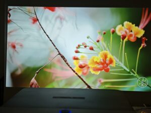 Oscal PV800 65 Zoll 19 Oscal PV800 65 Zoll 19