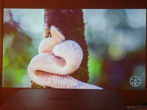 Oscal PV800 65 Zoll 22 Oscal PV800 65 Zoll 22