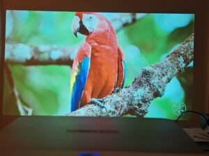 Oscal PV800 90 Zoll 21 Oscal PV800 90 Zoll 21