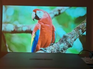 Oscal PV800 90 Zoll 22 Oscal PV800 90 Zoll 22