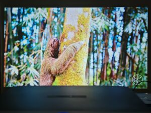 Oscal PV800 90 Zoll 30 Oscal PV800 90 Zoll 30