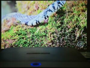 Oscal PV800 90 Zoll 32 Oscal PV800 90 Zoll 32