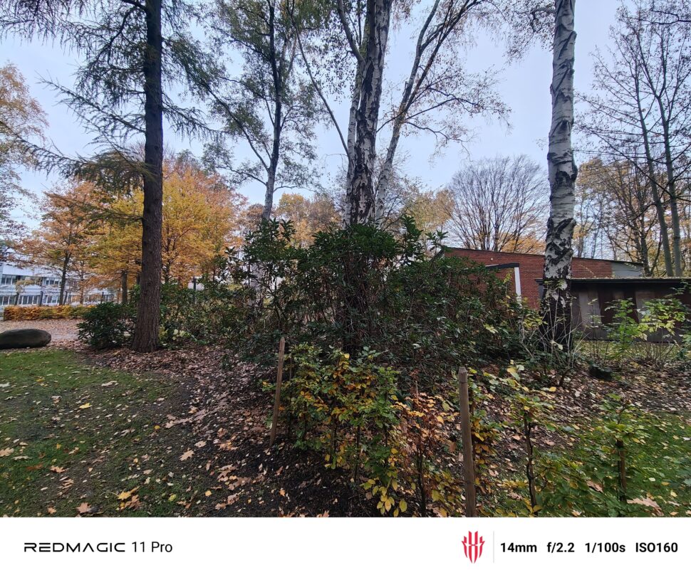 Redmagic 11 Pro Cam Test 17