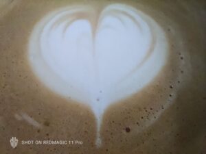 Redmagic 11 Pro Cam Test 19