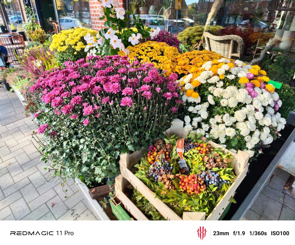 Redmagic 11 Pro Cam Test 2