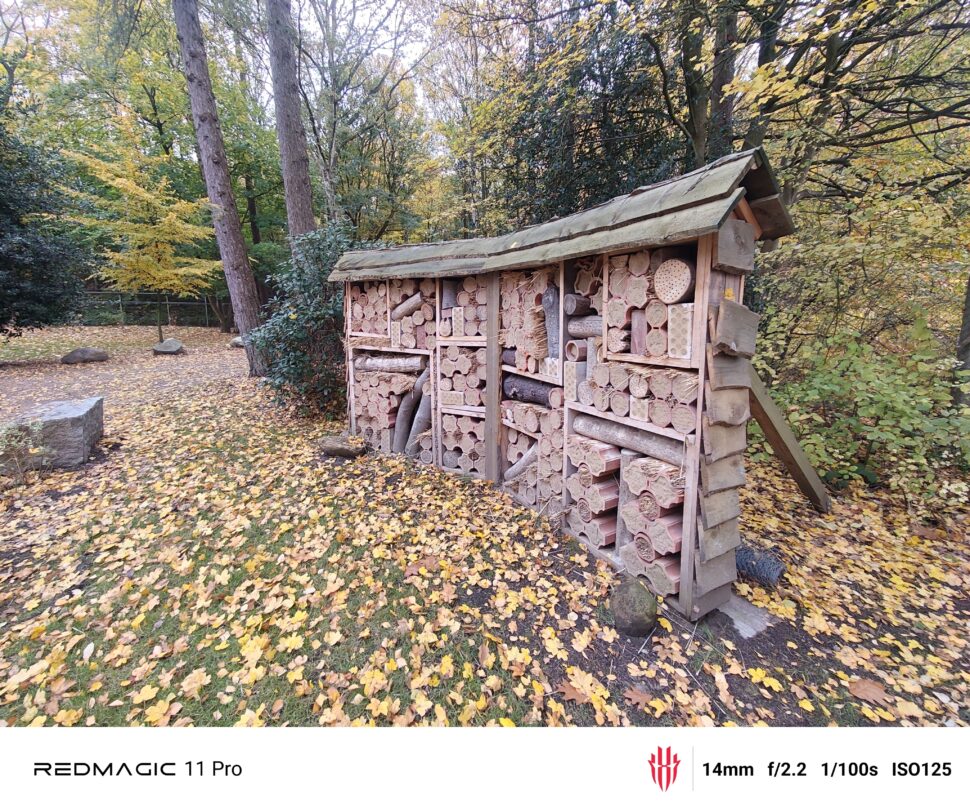 Redmagic 11 Pro Cam Test 23