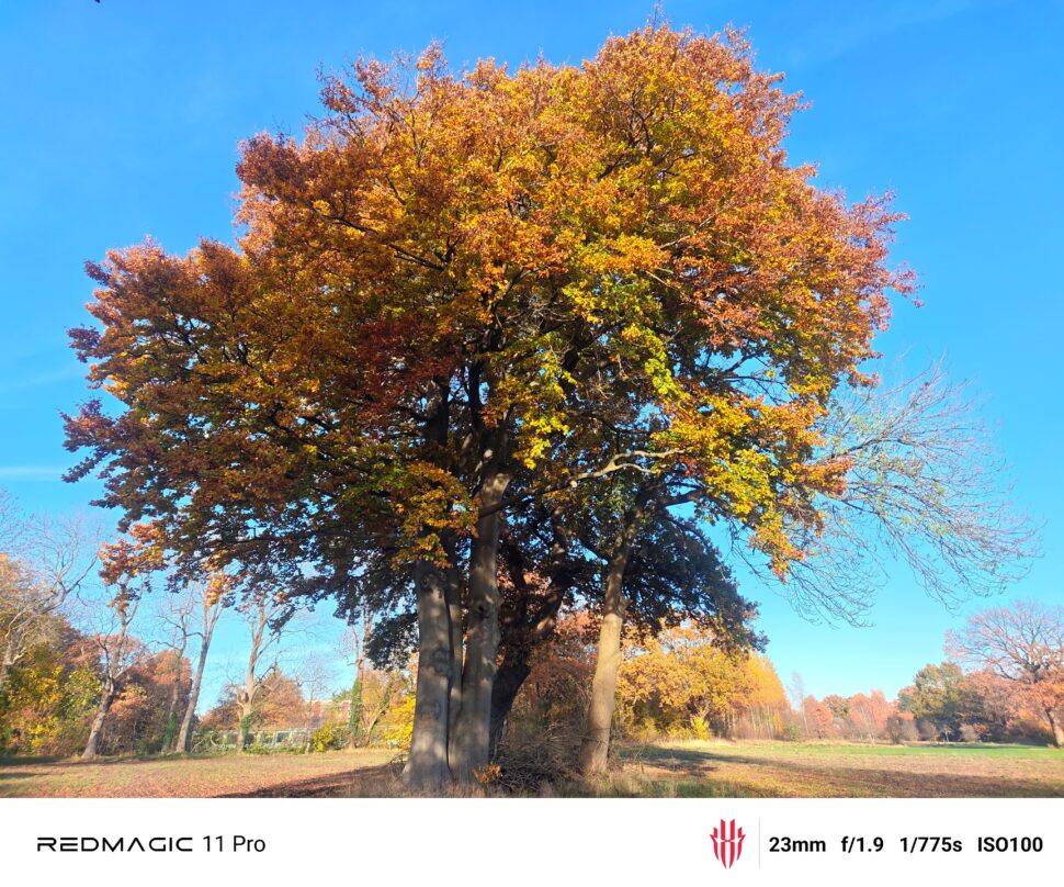 Redmagic 11 Pro Cam Test 41