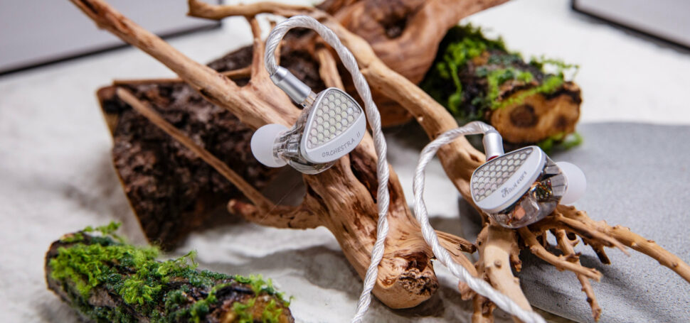 Kiwi Ears Orchestra 2 Test Web 5 Kiwi Ears Orchestra 2 Test Web 5