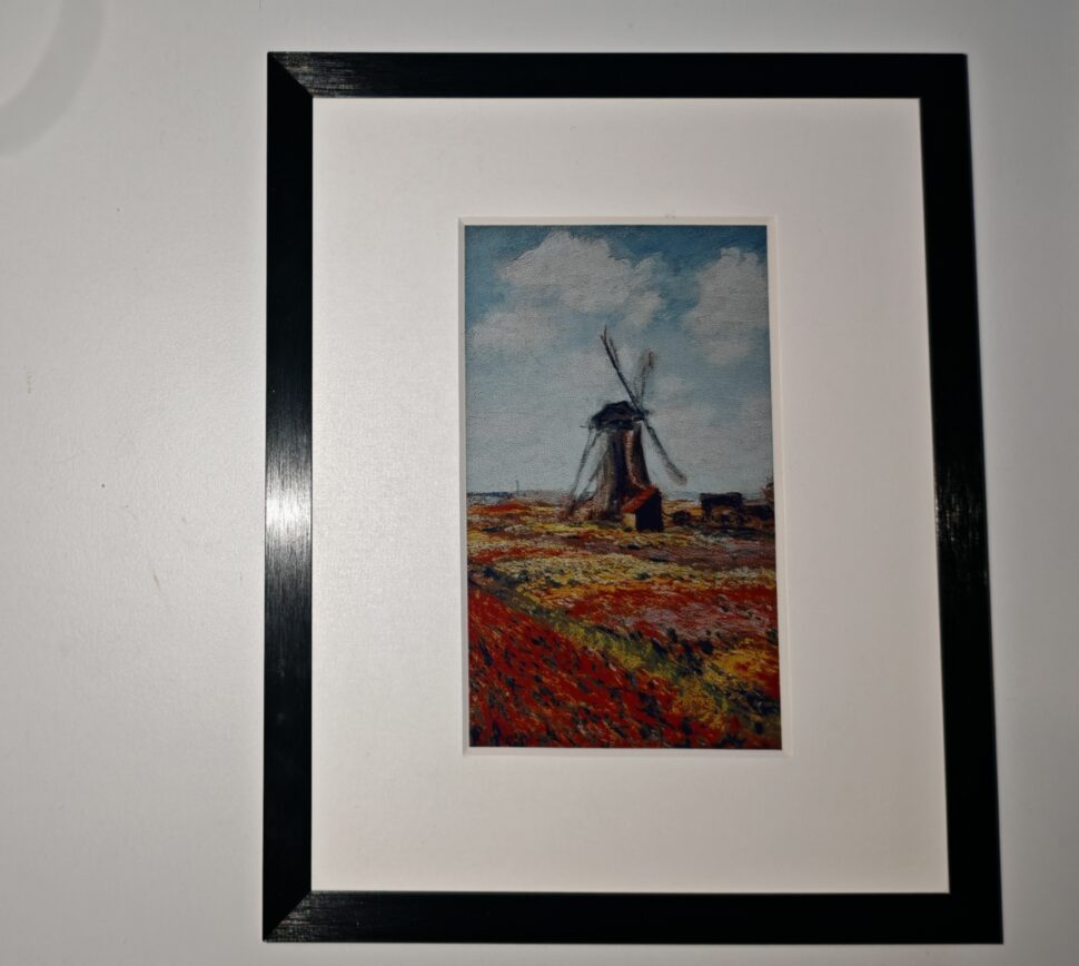 IMG 20251217 163011 edit 111272428843801 IMG 20251217 163011 edit 111272428843801