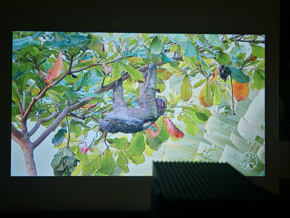 1000140935 1000140935