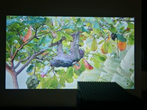 Wanbo Cube 2 Pro 100 Zoll 4 Wanbo Cube 2 Pro 100 Zoll 4