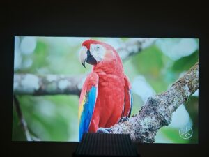 Wanbo Cube 2 Pro 70 Zoll Bildqualitaet 14 Wanbo Cube 2 Pro 70 Zoll Bildqualitaet 14