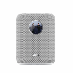 WiiM Sound Titelbild I WiiM Sound Titelbild I