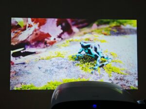 Blitzwolf BW V11 Bildqualitaet 1 Blitzwolf BW V11 Bildqualitaet 1